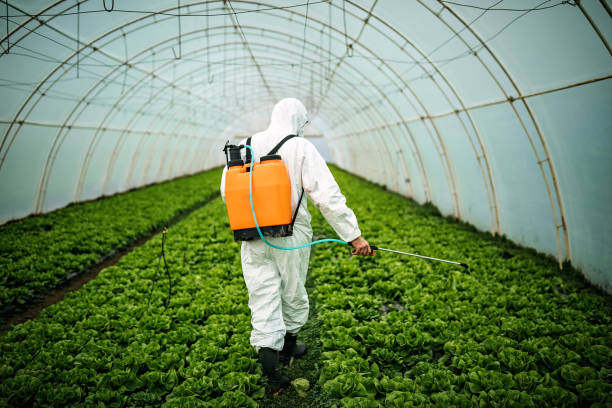 Best Pest Removal Services  in Ledbetter, KY