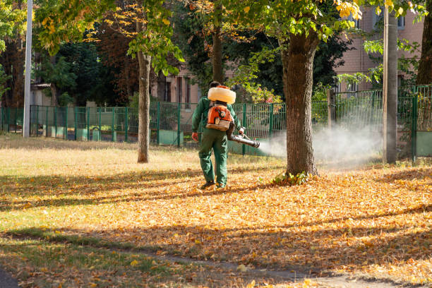 Trusted Ledbetter, KY Pest Control Experts