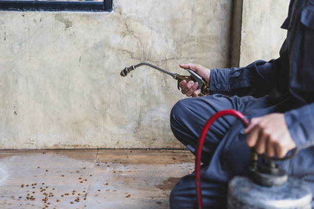 Best Mosquito Control Services  in Ledbetter, KY